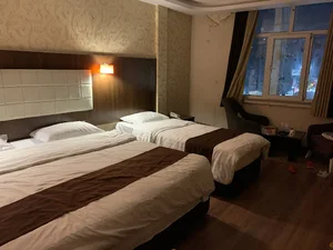 Olive Hotel Branch 2
