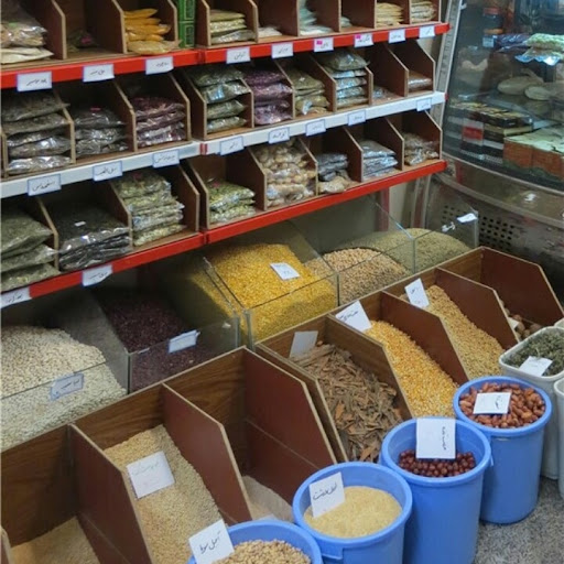 داروگیاهی ابن سینا