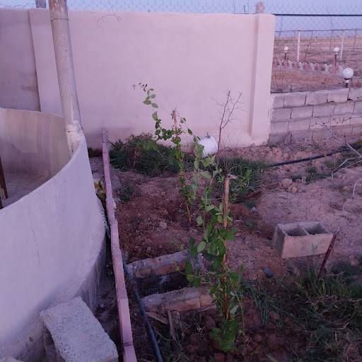 باغ خانوادگی پاک نژاد