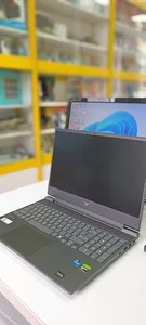 visual system
