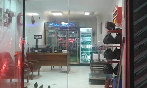 مرغ و ماهی عدالت