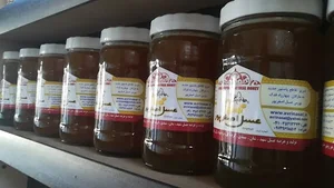 فروشگاه تخصصی عسل اصغرپور _ هزارویک گل 5
