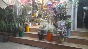 گلسرای ونوس