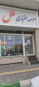 موسسه اعتباری ملل