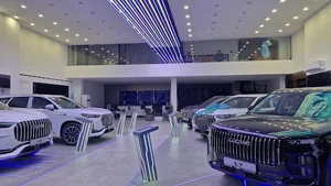 نمایندگی لوکانو قاسمی