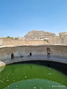 برکه کل