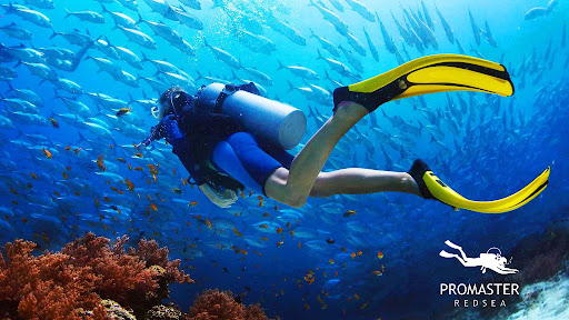 Pro Master Diving Center - Hurghada
