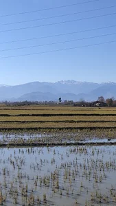 دفتر دهیاری و شورای روستای سند پایین