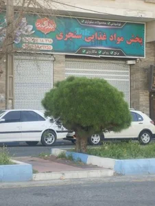 پخش مواد غذایی سنجری 2