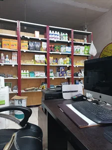 بانک سینا شعبه مرکزی