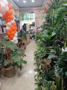 گل فروشی ژیوار 2