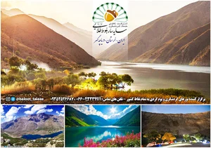 شرکت خدمات گردشگری سایه سار بلوط طلایی