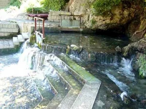 چشمه ریزو دیوونه