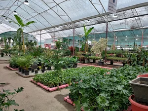 بازار گل سنندج (باغ استوائی)