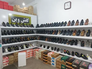 کفش وین 5