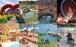 فضای سبز