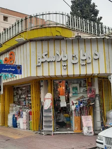دریان پلاسکو