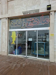 ماهی زنده کریمی