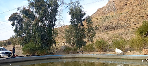 پارک کوهستان