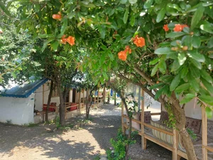 رستوران ستاره شمال 3