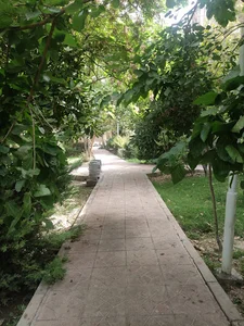 بوستان رودابه