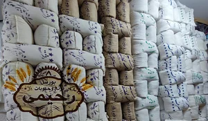 بورس برنج رحیمی