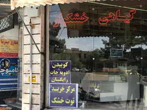 عطاری خشکبار حیدری نیا (تهرانی)