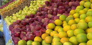 سوپر میوه جام انار