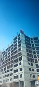 خدمات بتنی پارامی