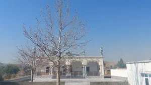 خاني خوړ فستې خیلو مسجد