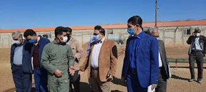 دامداری صنعتی شاه جهان