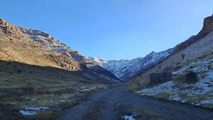 اژدها درسی