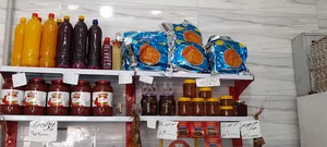 مرغ و ماهی هادی