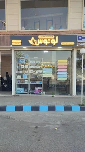 لوتوس کامپیوتر