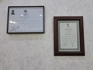 بیمه پارسیان نمایندگی عینعلی 5