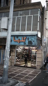 کفش گلها 2