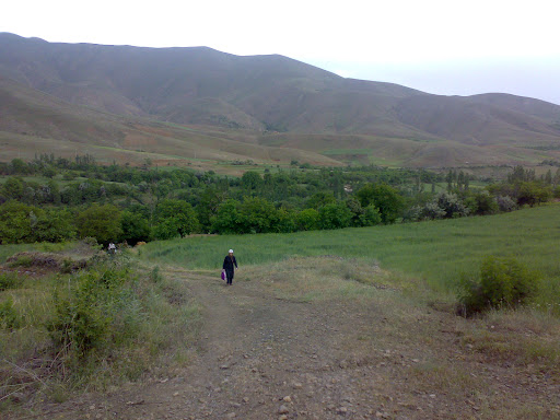 خانه باغ برادران اسعدی