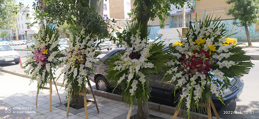 گلسرای گل سایه ملایر