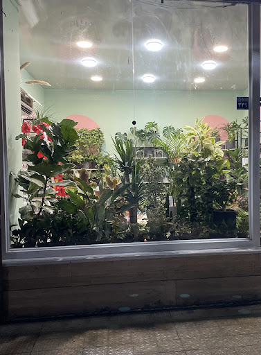 فروشگاه