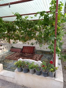 ماهی لاله