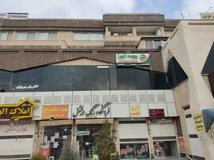 بیمه البرز مصطفی صالحی