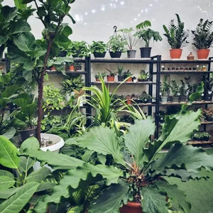 فروشگاه تخصصی گل در خانه 5