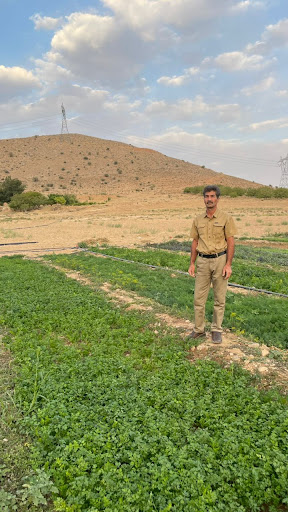 مزرعه حبیب هاشمی