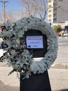 گلفروشی‌ پاچیرا