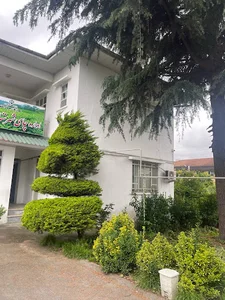 اداره چای شهسوار
