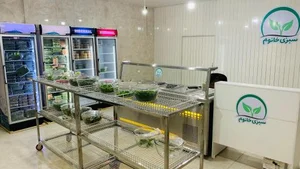 فروشگاه سبزی خانوم 4
