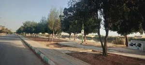 بوستان ساحلی ۳