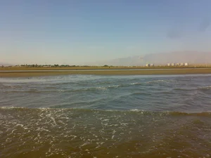 بوستان ساحلی سورو
