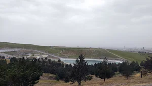 باراجین