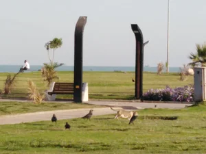 پارکینگ عمومی لیان